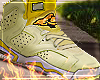 6's Floral  'F