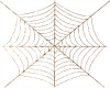 Bronze Spider Web