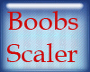 *R bOOBs Scaler