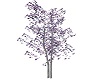 Large Purple Tree