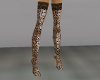 Leopard & Laced Boots
