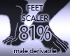 Foot Scaler 81%