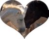 I Heart Horses