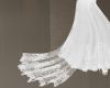 My Wedding Dress Train