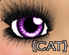 {CAT}Purple Cute Eyes
