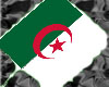 ~Algeria Hand Held Flag