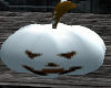 ~VP~ Pumpkin (White)