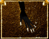 Claws ~ Passaro
