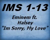 Eminem ft. Halsey
