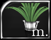 m.|Potted Plant I