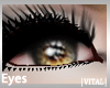 |VITAL| Gypsy Eyes F 002