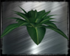 Animated Tropical Plant
