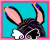 rainbow bunny ears