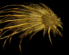 ;R; Gold Booy Feathers