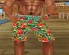 Hawaiian Shorts 10