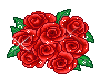 Red Roses bunch