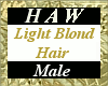 Light Blond Hair - M