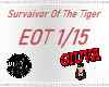 Surv.. Of The tiger Eot