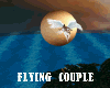 Flying Couple