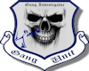 !S! Gang unit badge v1