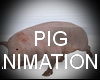 PIG ANIMATIONS