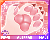 🌸; Yasin Paws