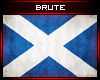 B| Scottish Flag