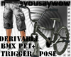 Cool Trigger BMX PET