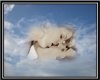PICTURE FRAME  CLOUDS OF