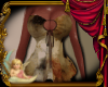darling | eu4ic