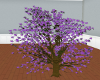 (HI) Purple star  tree