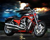 Harley Bike 6