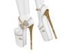 PT Sexy White Shoes