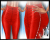 {S} Sexy!Tight pants red