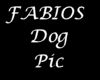 Fabios dog pic B&W