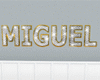 MIGUEL name