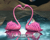14k Pink Flamingos