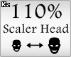 Scaler Head 110%