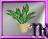 !TK!Potted Plant