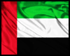 [M] UAE Wall Flag