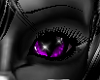 purple cat's eyes F