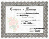 marriage certificate3