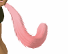 Pink Cat Tail