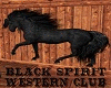 BlackSpirit Western Club