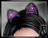 [CS] Wicked Kitty Ears