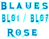 7 Pose Blaue Rose