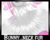 Furry Bunny