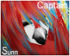 S: Macaw | Captain hair