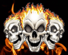Animated flame skull bar