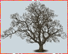 Kawaii Large Tree